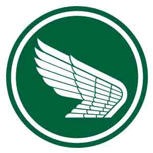 Wings - JPEG 10%