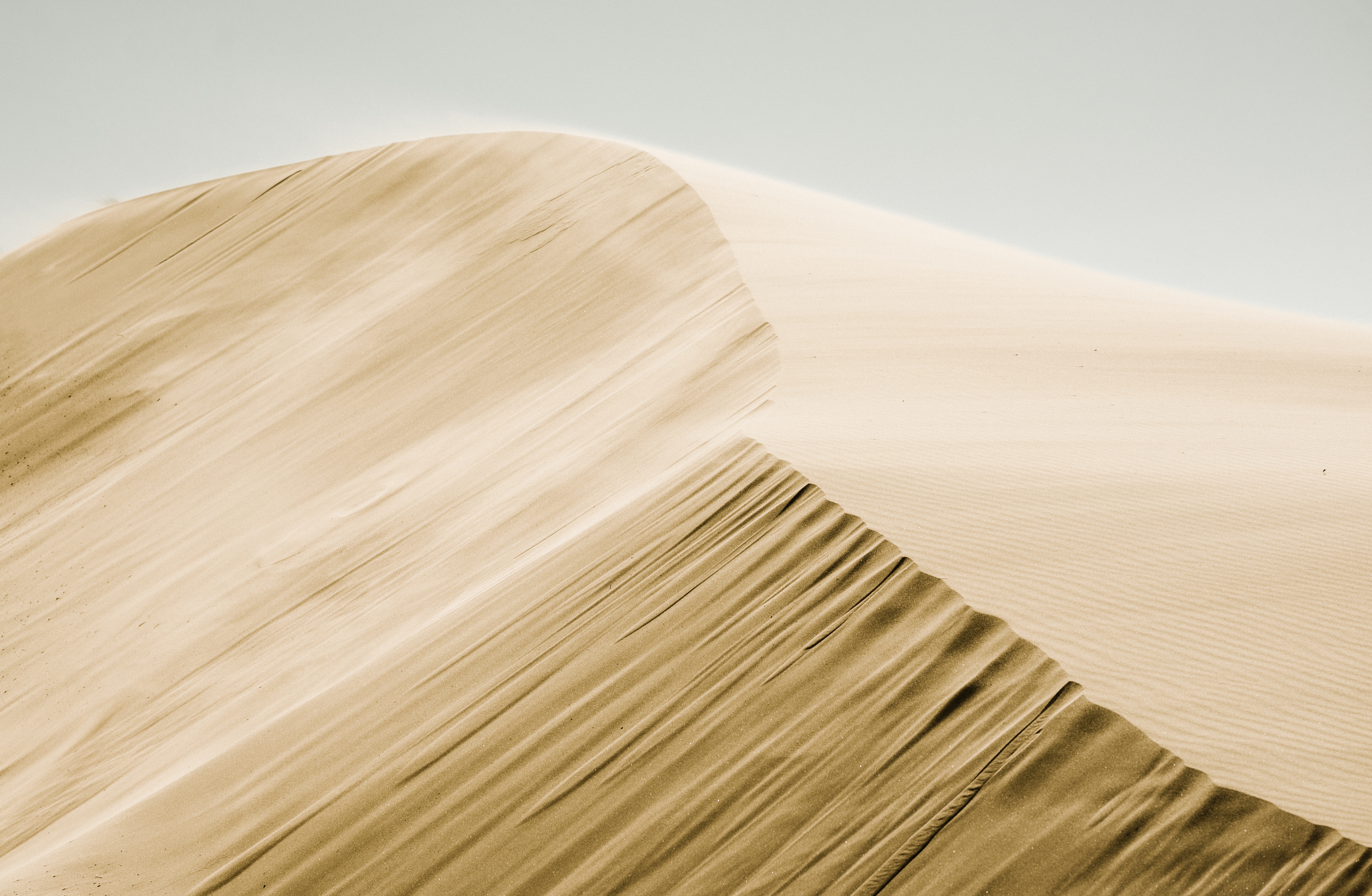 desert